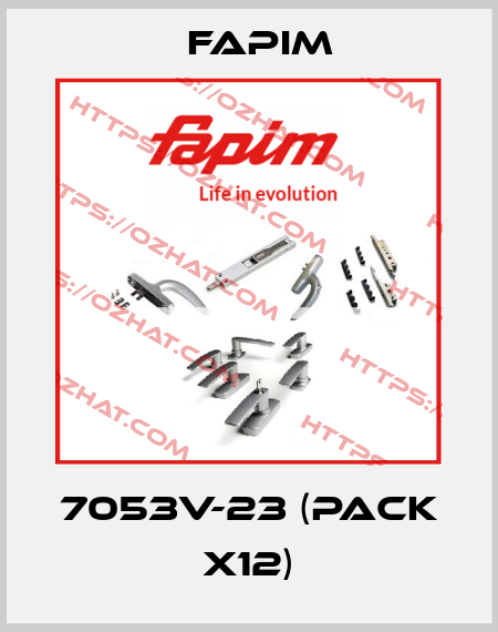 7053V-23 (pack x12) Fapim