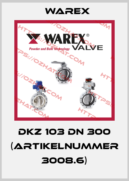 DKZ 103 DN 300 (Artikelnummer 3008.6) Warex