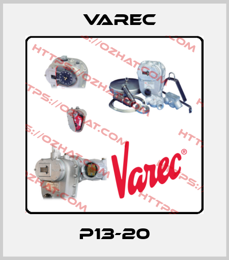 P13-20 Varec