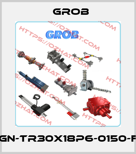 MJ3-GN-TR30x18P6-0150-FP-FB Grob