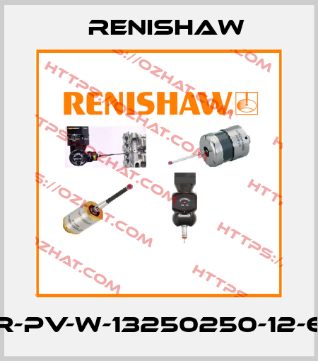 R-PV-W-13250250-12-6 Renishaw