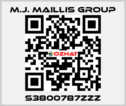 S3800787ZZZ M.J. MAILLIS GROUP