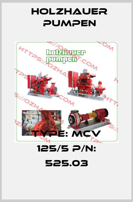 Type: MCV 125/5 P/N: 525.03 Holzhauer Pumpen