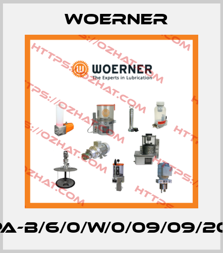 VPA-B/6/0/W/0/09/09/20/P Woerner