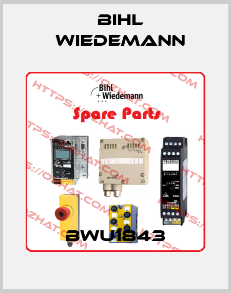 BWU1843 Bihl Wiedemann