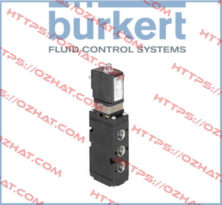 278231 Burkert