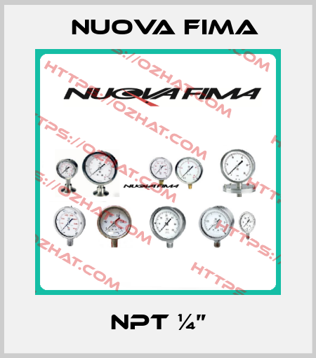 NPT ¼” Nuova Fima