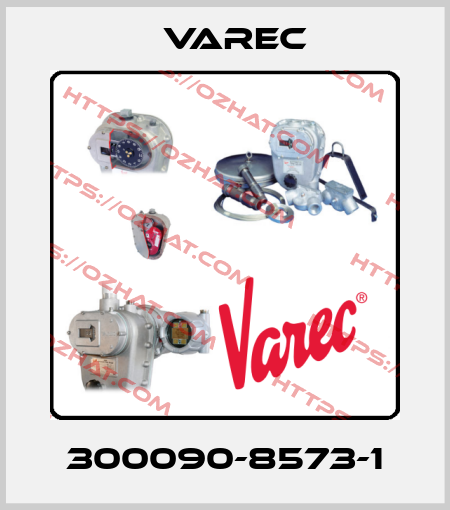 300090-8573-1 Varec