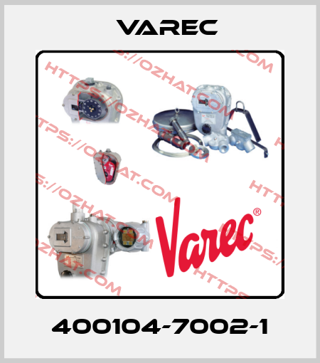 400104-7002-1 Varec