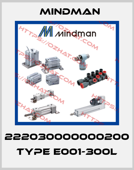 222030000000200 Type E001-300L Mindman