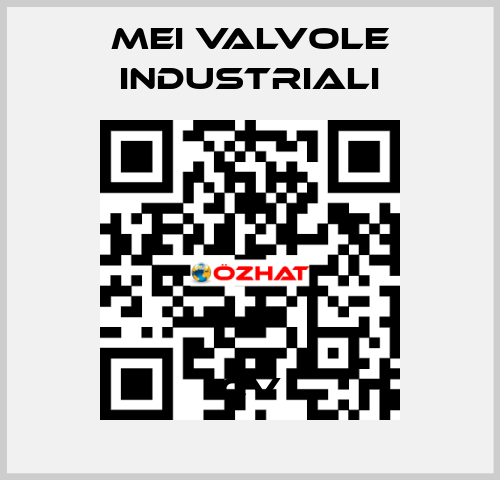 CV MEI VALVOLE INDUSTRIALI