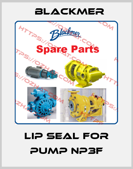 Lip Seal for pump NP3F Blackmer