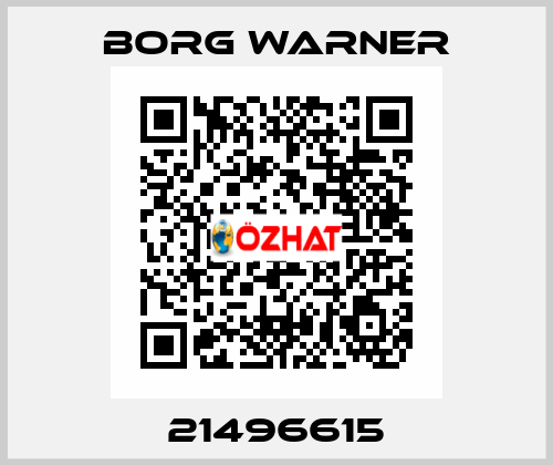 21496615 Borg Warner