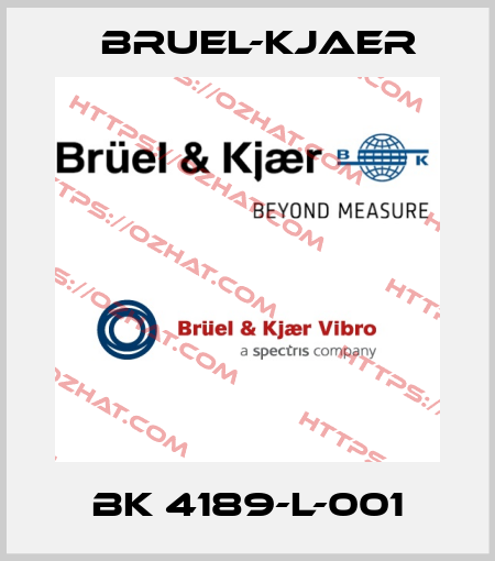 BK 4189-L-001 Bruel-Kjaer