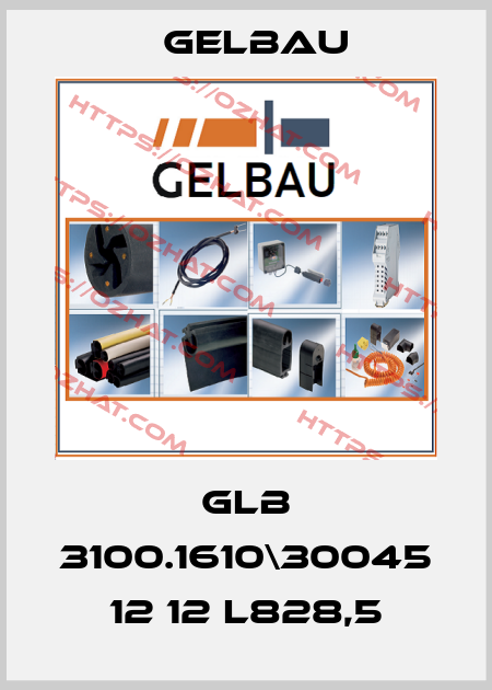 GLB 3100.1610\30045 12 12 L828,5 Gelbau