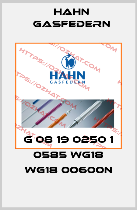 G 08 19 0250 1 0585 WG18 WG18 00600N Hahn Gasfedern