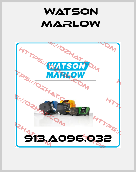 913.A096.032 Watson Marlow