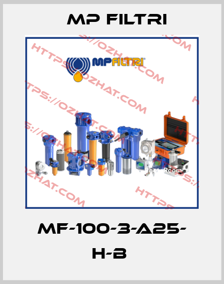 MF-100-3-A25- H-B  MP Filtri