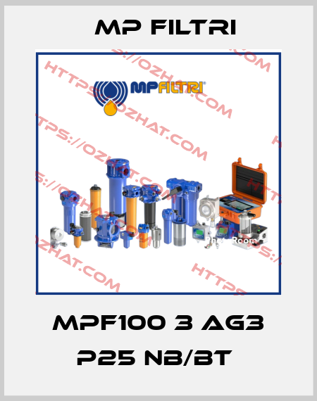 MPF100 3 AG3 P25 NB/BT  MP Filtri