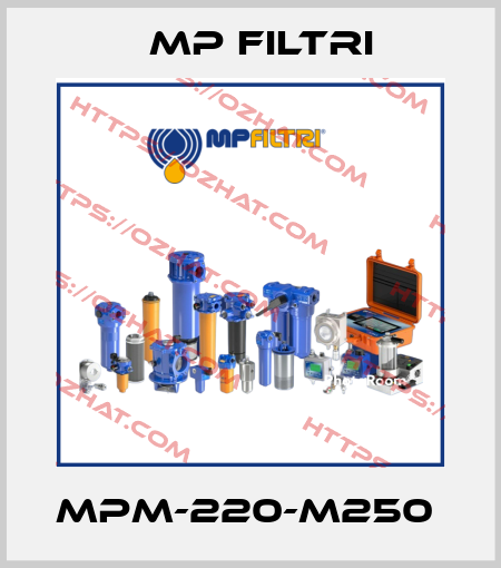 MPM-220-M250  MP Filtri