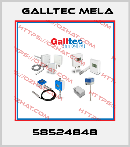 58524848 Galltec Mela