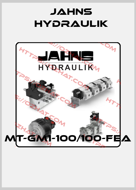 MT-GM1-100/100-FEA  Jahns hydraulik