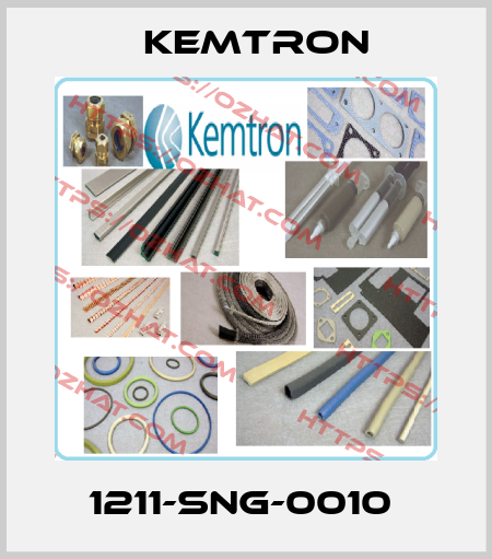 1211-SNG-0010  KEMTRON