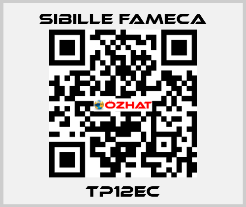 TP12EC Sibille Fameca