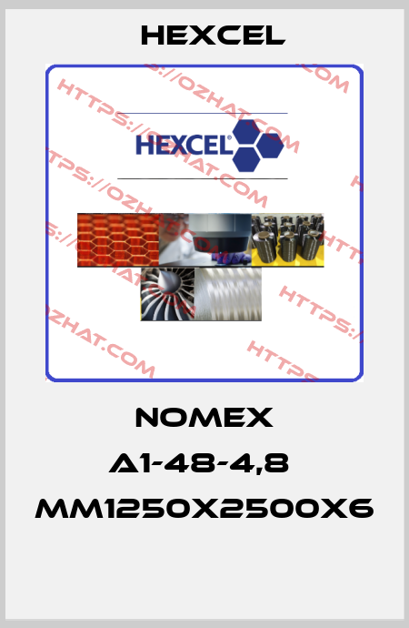 NOMEX A1-48-4,8  MM1250X2500X6  Hexcel