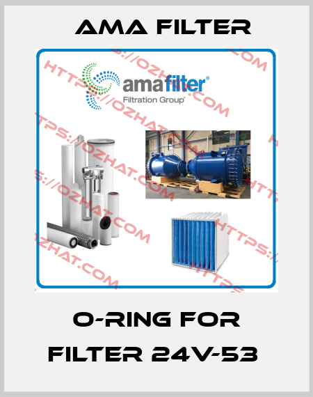 O-RING FOR FILTER 24V-53  Ama Filter
