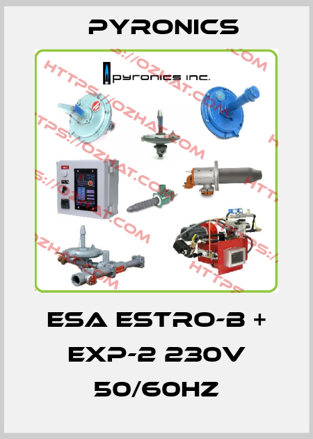 ESA ESTRO-B + EXP-2 230V 50/60Hz PYRONICS