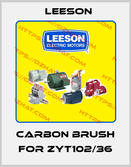 Carbon brush for ZYT102/36 Leeson