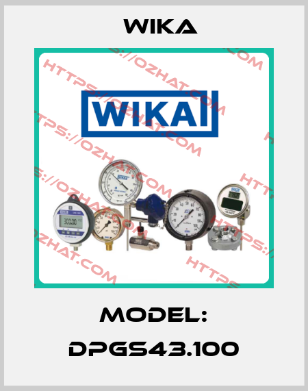 Model: DPGS43.100 Wika