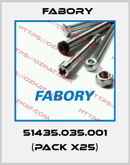 51435.035.001 (pack x25) Fabory