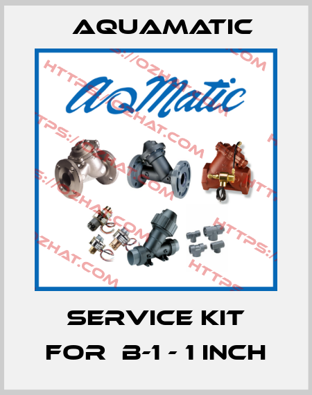 service kit for  B-1 - 1 inch AquaMatic