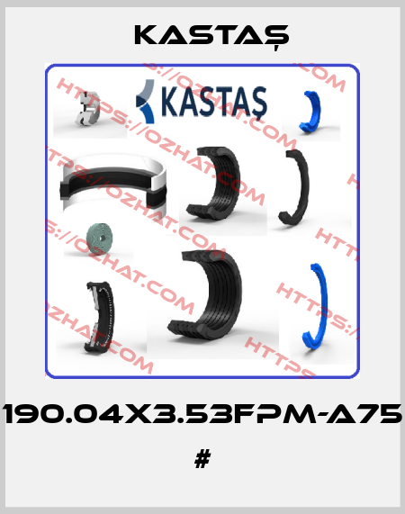 190.04X3.53FPM-A75 # Kastaş