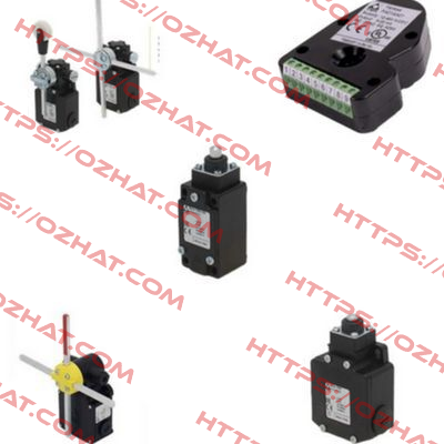 OVER LOAD LIMIT SWITCH P/N BT3 Ter Tecno Elettrica Ravasi