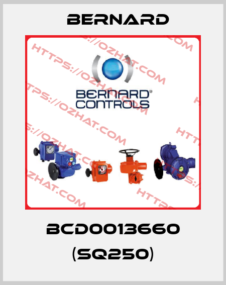 BCD0013660 (SQ250) Bernard