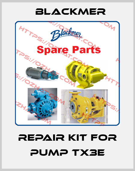 Repair kit for pump TX3E Blackmer
