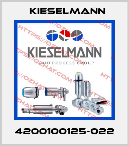 4200100125-022 Kieselmann