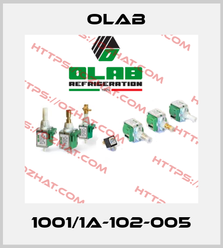 1001/1A-102-005 Olab