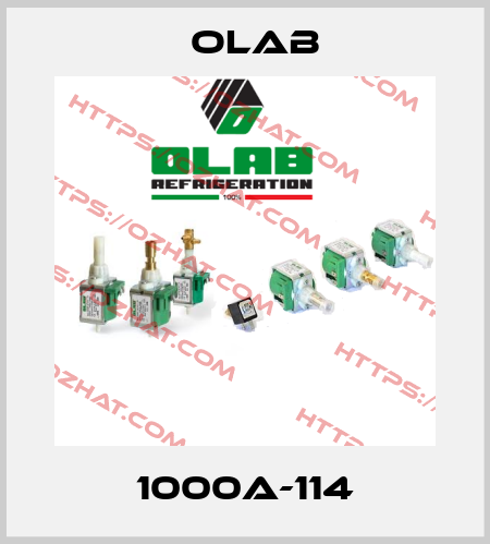 1000A-114 Olab