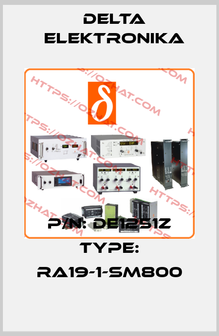 p/n: DE1251Z type: RA19-1-SM800 Delta Elektronika