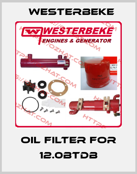 Oil filter for 12.0BTDB Westerbeke