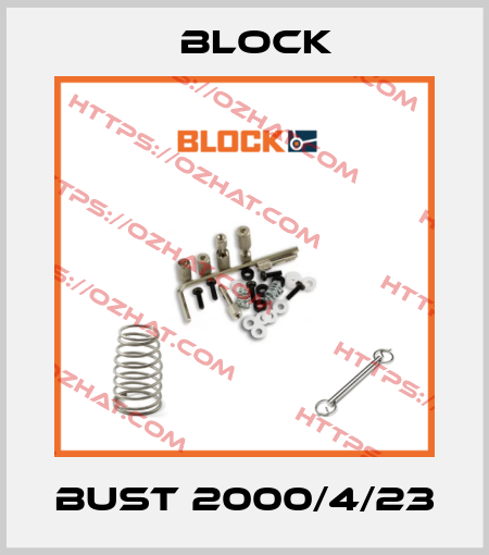 BUST 2000/4/23 Block