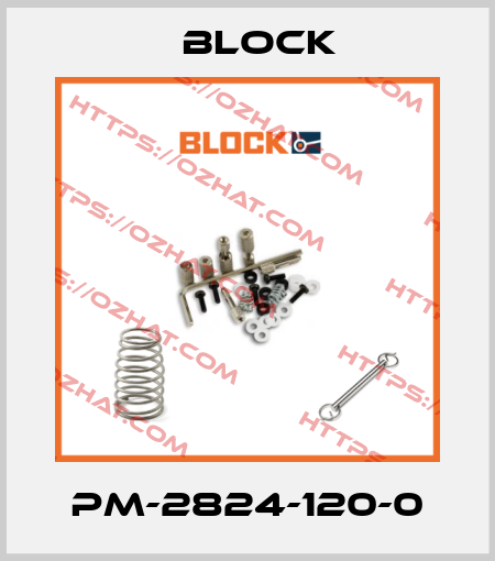 PM-2824-120-0 Block