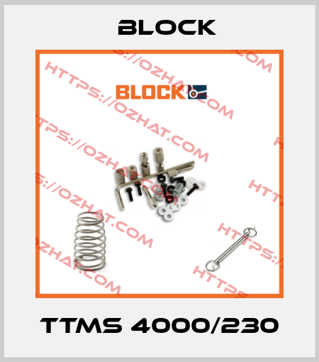 TTMS 4000/230 Block