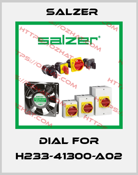Dial for H233-41300-A02 Salzer