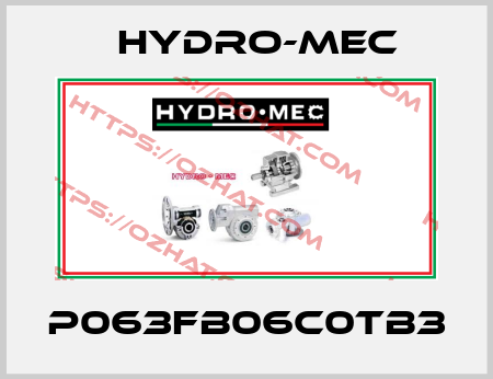 P063FB06C0TB3 Hydro-Mec