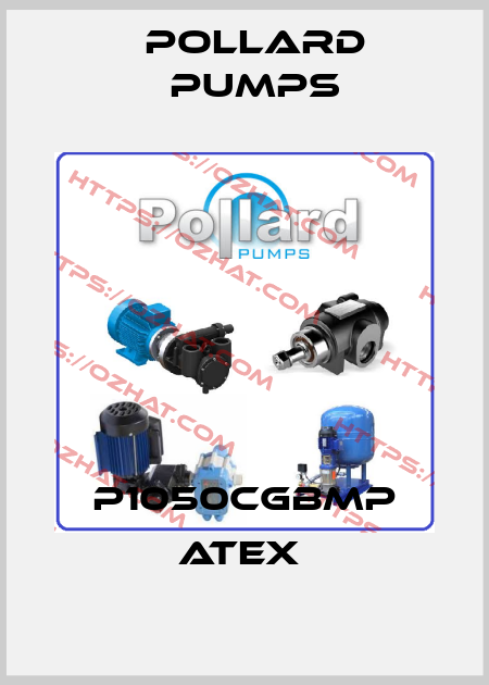 P1050CGBMP ATEX  Pollard pumps